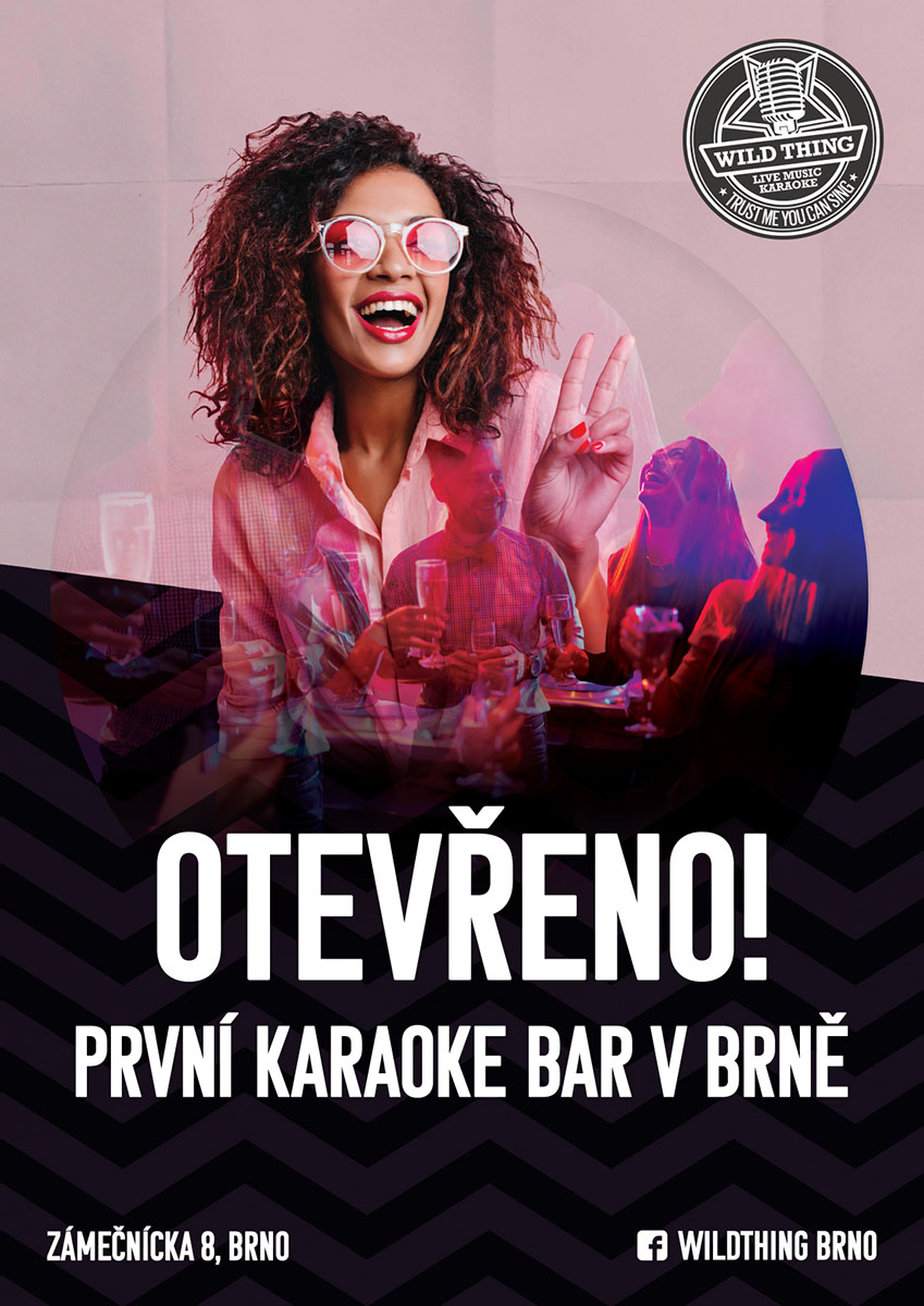 Wild thing první karaoke bar Brno banner