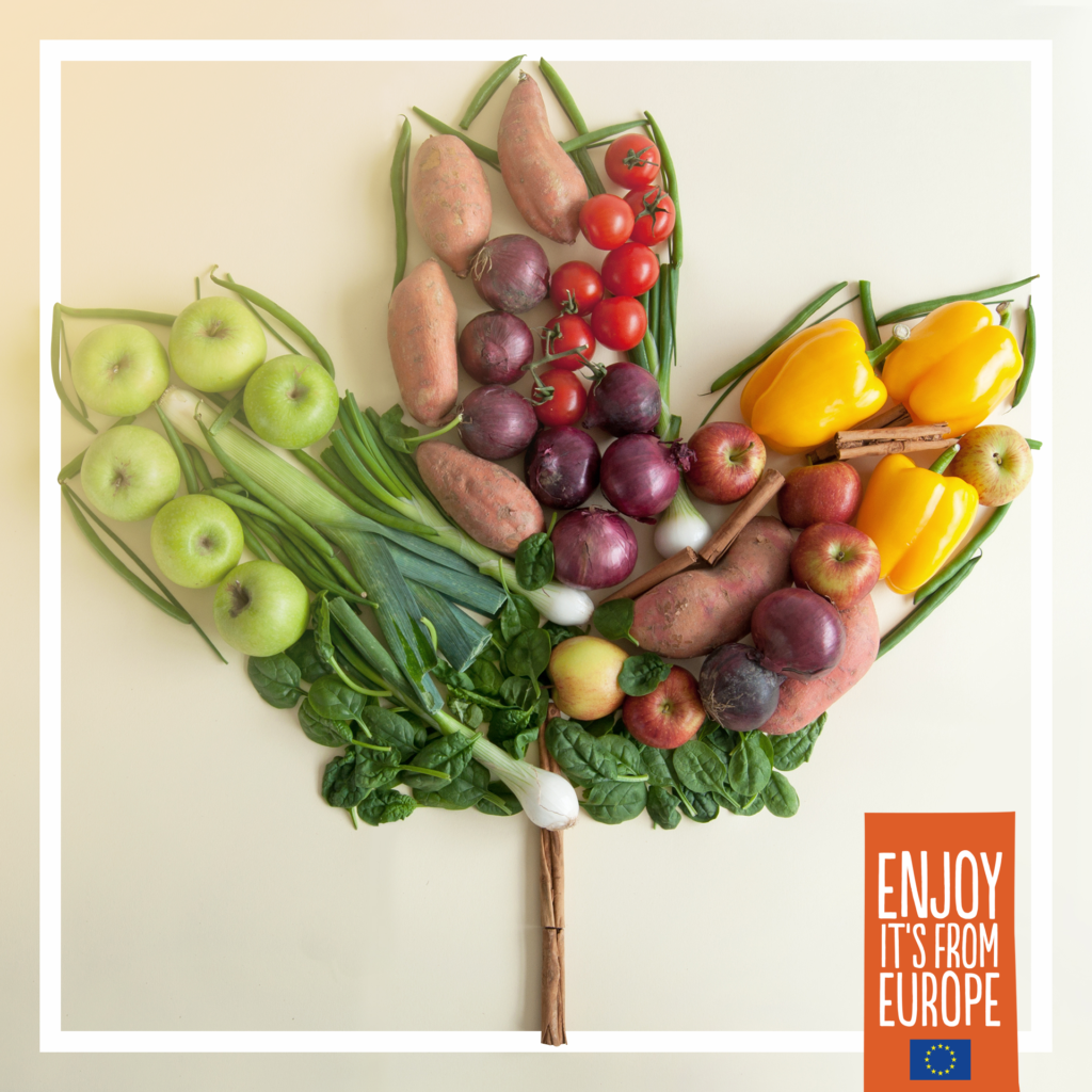 EU Fresh Choice norské potraviny online kampaň