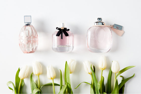 Fann parfumérie content pro Instagram