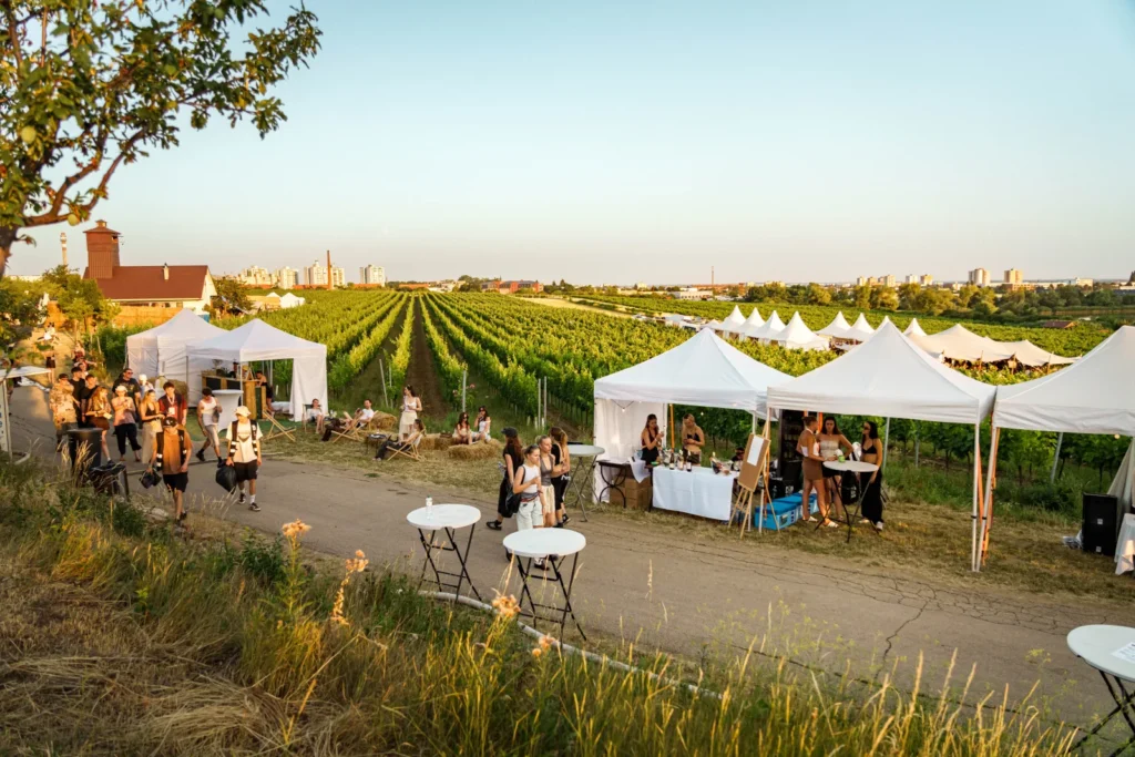 Pohľad na festival Ženy Víno Funk – biele stany, rady viníc a mesto v pozadí pri zlatom svetle